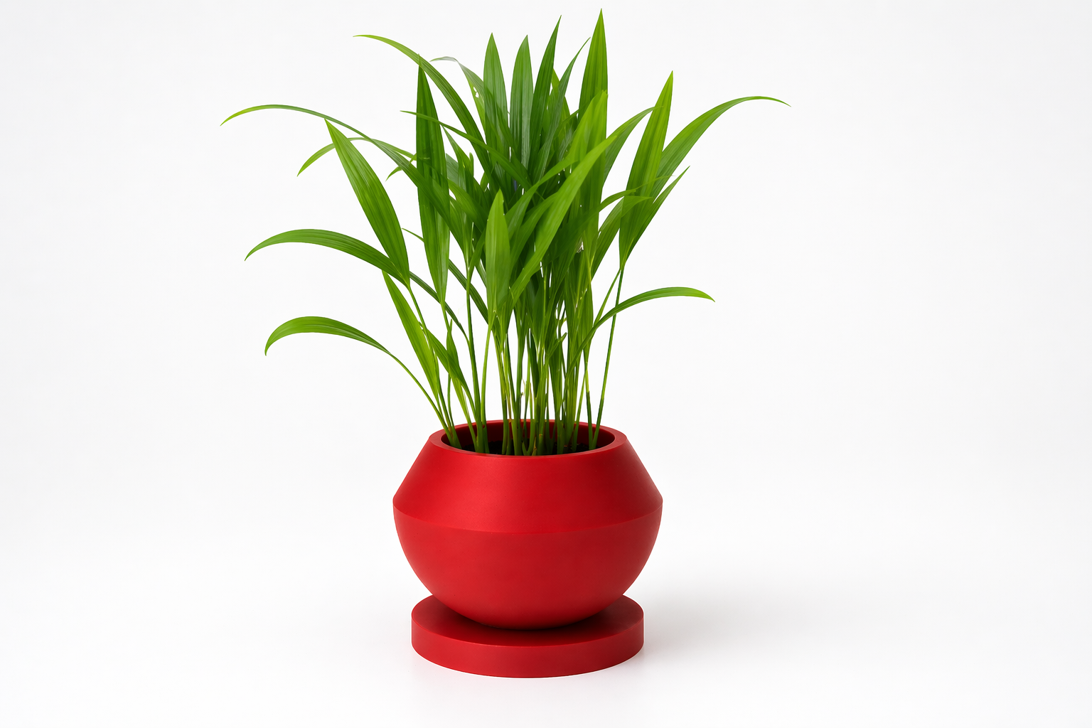 Ghiveci Decorativ 3D – Design Modern cu Suport